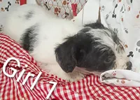 processed/12d9575c-9a01-47b8-bea0-f93ae55b31fc/listing/6ca1d79c-d15e-44fc-a280-86a6b2dfe3bc/21553034-9552-435f-a8ea-3da7fae5c3d8