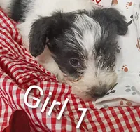 processed/12d9575c-9a01-47b8-bea0-f93ae55b31fc/listing/6ca1d79c-d15e-44fc-a280-86a6b2dfe3bc/6b67c133-c82a-477e-9b75-23089ef20b8e