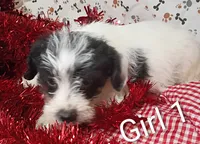 processed/12d9575c-9a01-47b8-bea0-f93ae55b31fc/listing/6ca1d79c-d15e-44fc-a280-86a6b2dfe3bc/70000423-32f3-421d-96cb-cf5c71eb7a97