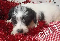 processed/12d9575c-9a01-47b8-bea0-f93ae55b31fc/listing/6ca1d79c-d15e-44fc-a280-86a6b2dfe3bc/a285f9bd-db41-4b42-acfc-1550bf4d07f6