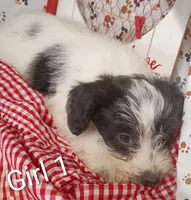 processed/12d9575c-9a01-47b8-bea0-f93ae55b31fc/listing/6ca1d79c-d15e-44fc-a280-86a6b2dfe3bc/bab04bd7-ae31-4dd9-959e-5d595dce873b