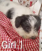 processed/12d9575c-9a01-47b8-bea0-f93ae55b31fc/listing/6ca1d79c-d15e-44fc-a280-86a6b2dfe3bc/bbcd726f-1875-41de-84da-1c6becf9a77c