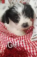 processed/12d9575c-9a01-47b8-bea0-f93ae55b31fc/listing/6ca1d79c-d15e-44fc-a280-86a6b2dfe3bc/bc5f6ee4-feb3-4be1-b729-4fc59913b226