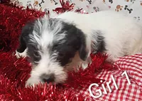 processed/12d9575c-9a01-47b8-bea0-f93ae55b31fc/listing/6ca1d79c-d15e-44fc-a280-86a6b2dfe3bc/d137076c-f505-4fb8-a3cd-77465fd6c194