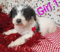 processed/12d9575c-9a01-47b8-bea0-f93ae55b31fc/listing/6ca1d79c-d15e-44fc-a280-86a6b2dfe3bc/fc8bf088-51d8-46a7-b72d-8843b7ec1475