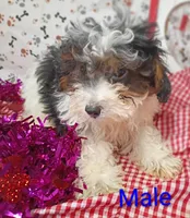 processed/12d9575c-9a01-47b8-bea0-f93ae55b31fc/listing/a8e151ea-81fc-43f4-9608-3840e4d78ae6/11128574-ff53-42a5-99bf-d263dab70579