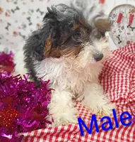 processed/12d9575c-9a01-47b8-bea0-f93ae55b31fc/listing/a8e151ea-81fc-43f4-9608-3840e4d78ae6/159ce48d-9ae7-4fde-99eb-8c40f5dacebf