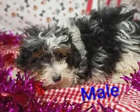 processed/12d9575c-9a01-47b8-bea0-f93ae55b31fc/listing/a8e151ea-81fc-43f4-9608-3840e4d78ae6/3a72c396-4344-4e7a-ac31-ad9e5a92cf66