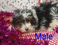 processed/12d9575c-9a01-47b8-bea0-f93ae55b31fc/listing/a8e151ea-81fc-43f4-9608-3840e4d78ae6/5678bcd5-5433-490d-9aac-ca66f7c9680b