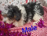 processed/12d9575c-9a01-47b8-bea0-f93ae55b31fc/listing/a8e151ea-81fc-43f4-9608-3840e4d78ae6/71b86e21-3d58-4c94-8dc1-c32b3ea35fdc