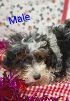 processed/12d9575c-9a01-47b8-bea0-f93ae55b31fc/listing/a8e151ea-81fc-43f4-9608-3840e4d78ae6/b2ccd130-66da-4867-9ac1-2a2422288305