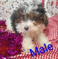 processed/12d9575c-9a01-47b8-bea0-f93ae55b31fc/listing/a8e151ea-81fc-43f4-9608-3840e4d78ae6/f3327cbe-39ee-41ea-9fcb-db5134a65586