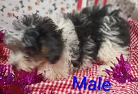 processed/12d9575c-9a01-47b8-bea0-f93ae55b31fc/listing/a8e151ea-81fc-43f4-9608-3840e4d78ae6/f9f7a8ab-1e82-4b97-b7ba-309517c139af