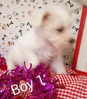 processed/12d9575c-9a01-47b8-bea0-f93ae55b31fc/listing/ab51c238-61ac-4f23-8885-719d0167e2a6/122b14f6-0a1d-46c6-a3b1-1ef404eb6fa2