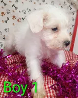 processed/12d9575c-9a01-47b8-bea0-f93ae55b31fc/listing/ab51c238-61ac-4f23-8885-719d0167e2a6/4edde23c-77c3-4680-b5de-20f31ec279b8