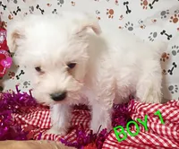 processed/12d9575c-9a01-47b8-bea0-f93ae55b31fc/listing/ab51c238-61ac-4f23-8885-719d0167e2a6/580ccfa8-6779-4bc0-a052-3305b6ff1dfa