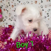 processed/12d9575c-9a01-47b8-bea0-f93ae55b31fc/listing/ab51c238-61ac-4f23-8885-719d0167e2a6/6bb26108-83b5-4b78-b804-675803802444