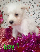 processed/12d9575c-9a01-47b8-bea0-f93ae55b31fc/listing/ab51c238-61ac-4f23-8885-719d0167e2a6/80b665d1-72f4-47a7-ba7c-409fc2939475