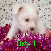 processed/12d9575c-9a01-47b8-bea0-f93ae55b31fc/listing/ab51c238-61ac-4f23-8885-719d0167e2a6/b9c3d1a4-fab2-4d2d-825b-2446a44fc59d