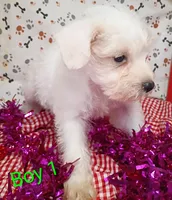 processed/12d9575c-9a01-47b8-bea0-f93ae55b31fc/listing/ab51c238-61ac-4f23-8885-719d0167e2a6/ccfe557a-d363-4dbc-aa03-d3db3c1d52b4