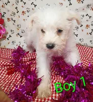 processed/12d9575c-9a01-47b8-bea0-f93ae55b31fc/listing/ab51c238-61ac-4f23-8885-719d0167e2a6/d6e5c81d-d213-47ee-8e5b-14ad1f90199a