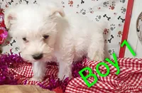 processed/12d9575c-9a01-47b8-bea0-f93ae55b31fc/listing/ab51c238-61ac-4f23-8885-719d0167e2a6/e0cb2f51-bcb8-4d8d-8e4d-a5ac7012f6b8