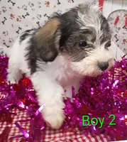 processed/12d9575c-9a01-47b8-bea0-f93ae55b31fc/listing/d33261fe-16ff-4798-a784-de5eff9f7a09/23fdb295-b80c-48f2-94c8-9a9dcec16bb1