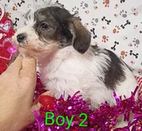 processed/12d9575c-9a01-47b8-bea0-f93ae55b31fc/listing/d33261fe-16ff-4798-a784-de5eff9f7a09/30df9d37-d69a-457f-b7ac-0054691e29fe