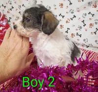 processed/12d9575c-9a01-47b8-bea0-f93ae55b31fc/listing/d33261fe-16ff-4798-a784-de5eff9f7a09/5679f9a3-2fbe-4b5e-b959-2172efec7d4a