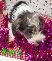 processed/12d9575c-9a01-47b8-bea0-f93ae55b31fc/listing/d33261fe-16ff-4798-a784-de5eff9f7a09/59d0fc4c-964a-4177-9555-58cdc3a2f6a2