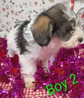 processed/12d9575c-9a01-47b8-bea0-f93ae55b31fc/listing/d33261fe-16ff-4798-a784-de5eff9f7a09/7437c1a1-1339-48e0-a73f-84992772be17