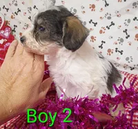 processed/12d9575c-9a01-47b8-bea0-f93ae55b31fc/listing/d33261fe-16ff-4798-a784-de5eff9f7a09/bf58a596-25e8-4de4-b30a-980b3cb7fb98