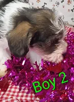 processed/12d9575c-9a01-47b8-bea0-f93ae55b31fc/listing/d33261fe-16ff-4798-a784-de5eff9f7a09/d99df7a2-de19-4928-857c-a3546373afb8