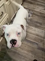 processed/12e61d8f-6377-4f40-b020-6886e4f204ae/facility/2b86cab6-a290-441a-84c6-ca59e5efa2a7