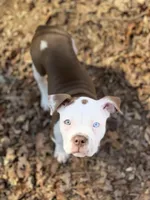 processed/12e61d8f-6377-4f40-b020-6886e4f204ae/facility/849f14df-cb0e-43ce-96d9-acfbdde65073