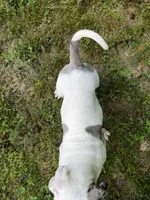 Hank, a male Alapaha Blue Blood Bulldog for sale in Covington, GA – 2 of 10