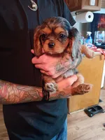 processed/12e8510d-de76-4485-b19a-a3d08664e852/facility/072b0238-4073-424d-822a-a7b3ef6d73d5