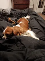 processed/12e8510d-de76-4485-b19a-a3d08664e852/facility/1428624d-2324-4f28-94ef-a85288d0ef19