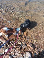 processed/12e8510d-de76-4485-b19a-a3d08664e852/facility/2dae8b36-1f52-46f2-a875-dffbb7e5b8d9