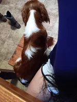 processed/12e8510d-de76-4485-b19a-a3d08664e852/facility/382df079-9b57-4260-b8d8-3312148b2ab4