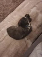 processed/12e8510d-de76-4485-b19a-a3d08664e852/facility/b5f0c32e-173b-4f35-b0d7-d5cda76462a8