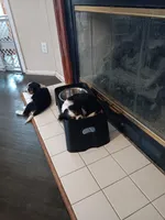 processed/12e8510d-de76-4485-b19a-a3d08664e852/facility/f580d834-ad5f-472f-81db-6dcf87f19ae5