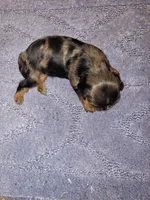 processed/12e8510d-de76-4485-b19a-a3d08664e852/listing/516380cc-47d5-41ae-8630-a372336dbeee/14a490a2-75d8-4b8f-876b-b24e6ffc025b