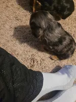 processed/12e8510d-de76-4485-b19a-a3d08664e852/listing/516380cc-47d5-41ae-8630-a372336dbeee/661f8f32-dcf8-461b-9f8a-9d07f6236966