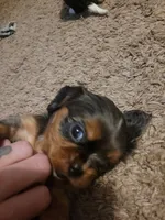 processed/12e8510d-de76-4485-b19a-a3d08664e852/listing/516380cc-47d5-41ae-8630-a372336dbeee/87a1cf30-15e9-4560-ab36-14704265e3af