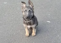 processed/12e8c926-c9b2-4a17-a8db-42f9480c919a/listing/2b4a36a3-52be-41e0-b201-1feaa0f9cced/0aa34281-2dff-4425-af27-949aaa95f533