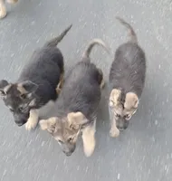 processed/12e8c926-c9b2-4a17-a8db-42f9480c919a/listing/2b4a36a3-52be-41e0-b201-1feaa0f9cced/a5bbe400-28f9-48ba-b1c3-bd3871137c0b