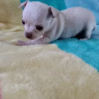 processed/12f10729-97aa-409c-a26a-e54e235636af/facility/05ab950d-8683-4e6a-a489-75dc73bbbff2