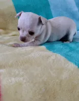 processed/12f10729-97aa-409c-a26a-e54e235636af/facility/05ab950d-8683-4e6a-a489-75dc73bbbff2