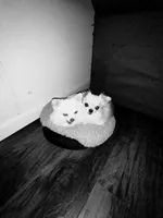 processed/12f10729-97aa-409c-a26a-e54e235636af/facility/131c62bf-40b4-4ece-8e4d-c1244a72fe22